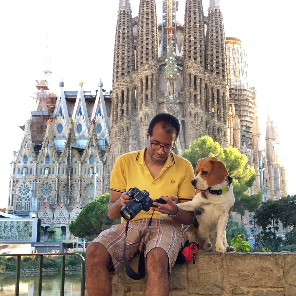 Soutenez l'adoption lors des Portes Ouvertes de la SPA via l’opération #BelleHistoire sur bellehistoire.la-spa.fr !  bellehistoire.la-spa.fr/view_photo/ind…