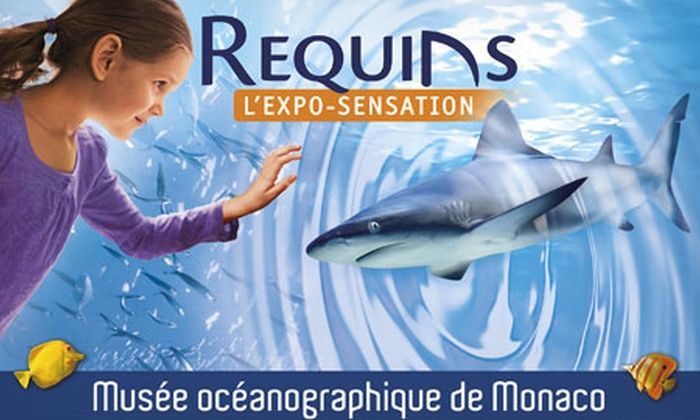 easygopass's tweet photo. Approchez les grands requins au #Musee Oceanographique De #Monaco 🦈

VENTE FLASH -50% > https://t.co/57dTxDnVO2

#bonplan #famille #aquarium https://t.co/ML8YvXke9a
