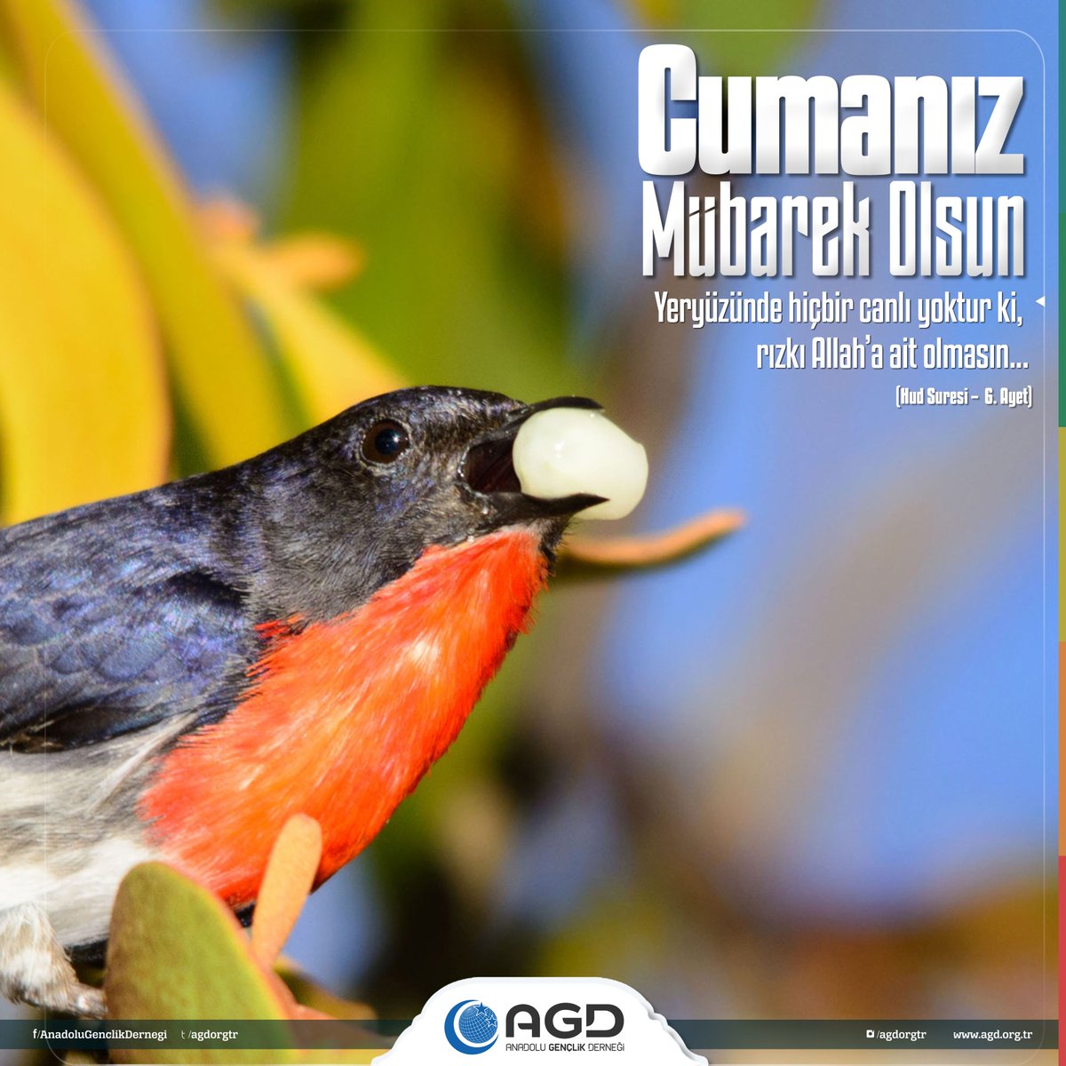 Cumanız mübarek olsun..

"Yeryüzünde hiçbir canlı yoktur ki, 
rızkı Allah’a ait olmasın..."
Hud Suresi 6.Ayet