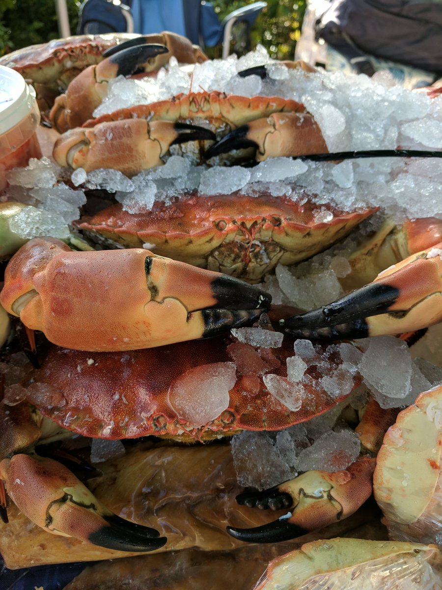 FishmongersFR's tweet photo. It's looking great down @Priory_Farm today. Beautiful weather &amp; stunning fish. Here 'till 3 so pop down &amp; take a look #redhill #shoplocal https://t.co/CZ1TvTDdoo