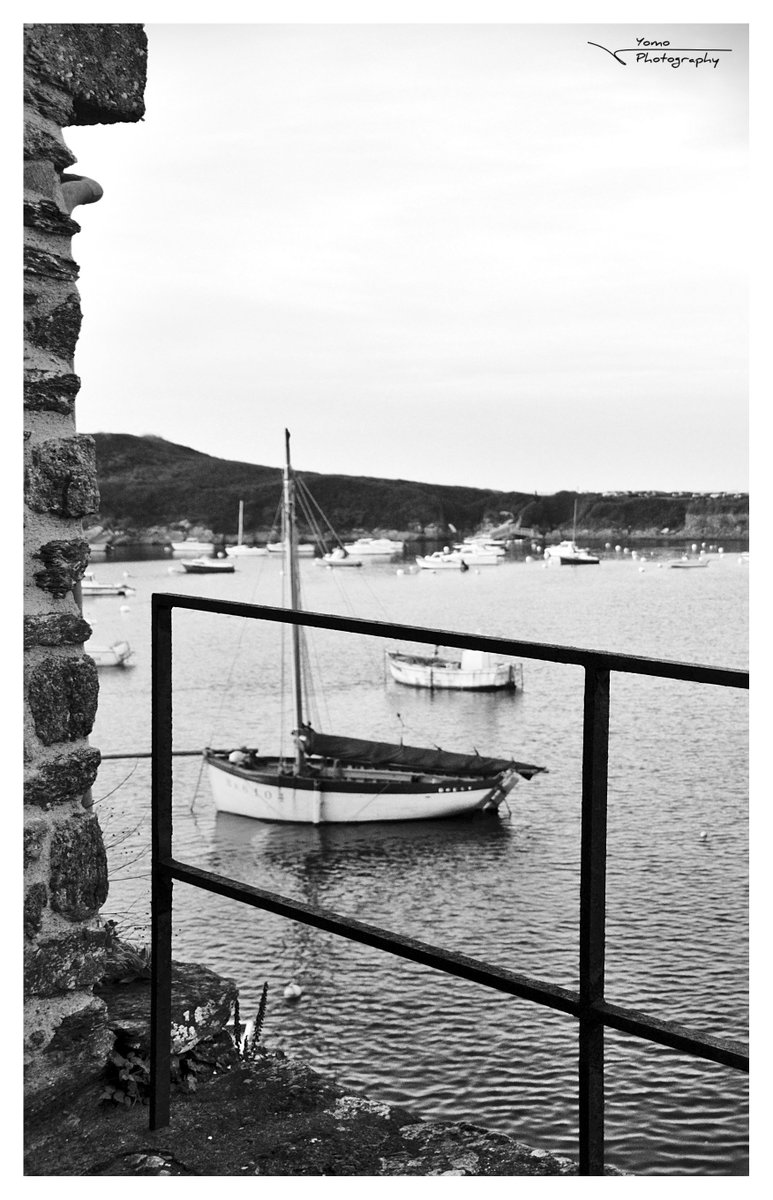 Yomo Photography tweet media