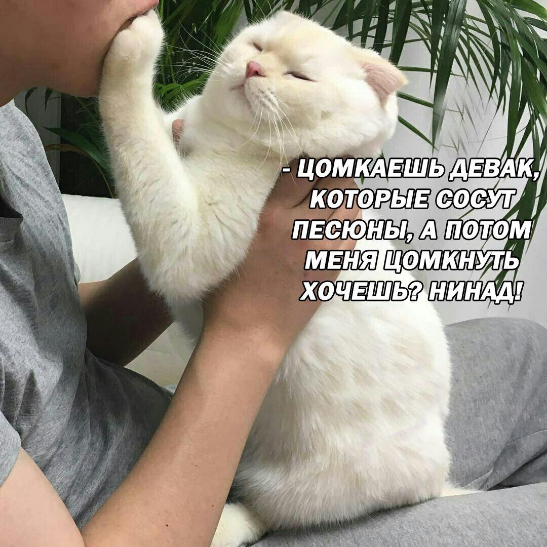 DLciMDkWsAAhC8V.jpg