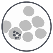 WWARN @wwarnnews.bsky.social tweet media