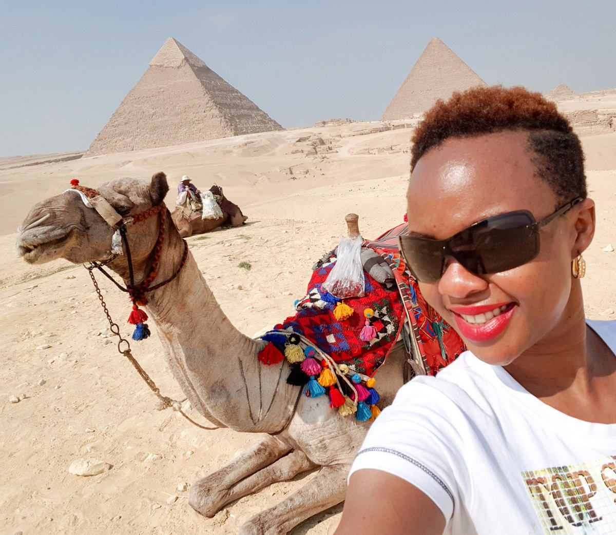 MaamaBedazzle's tweet photo. Oh happy day. GIZAPyramids #lastwonderoftheworld #luckythecamel #loveyouforlifeman #iseeyousmiling #sphinxprotectyou! https://t.co/ATnNW0pNLF