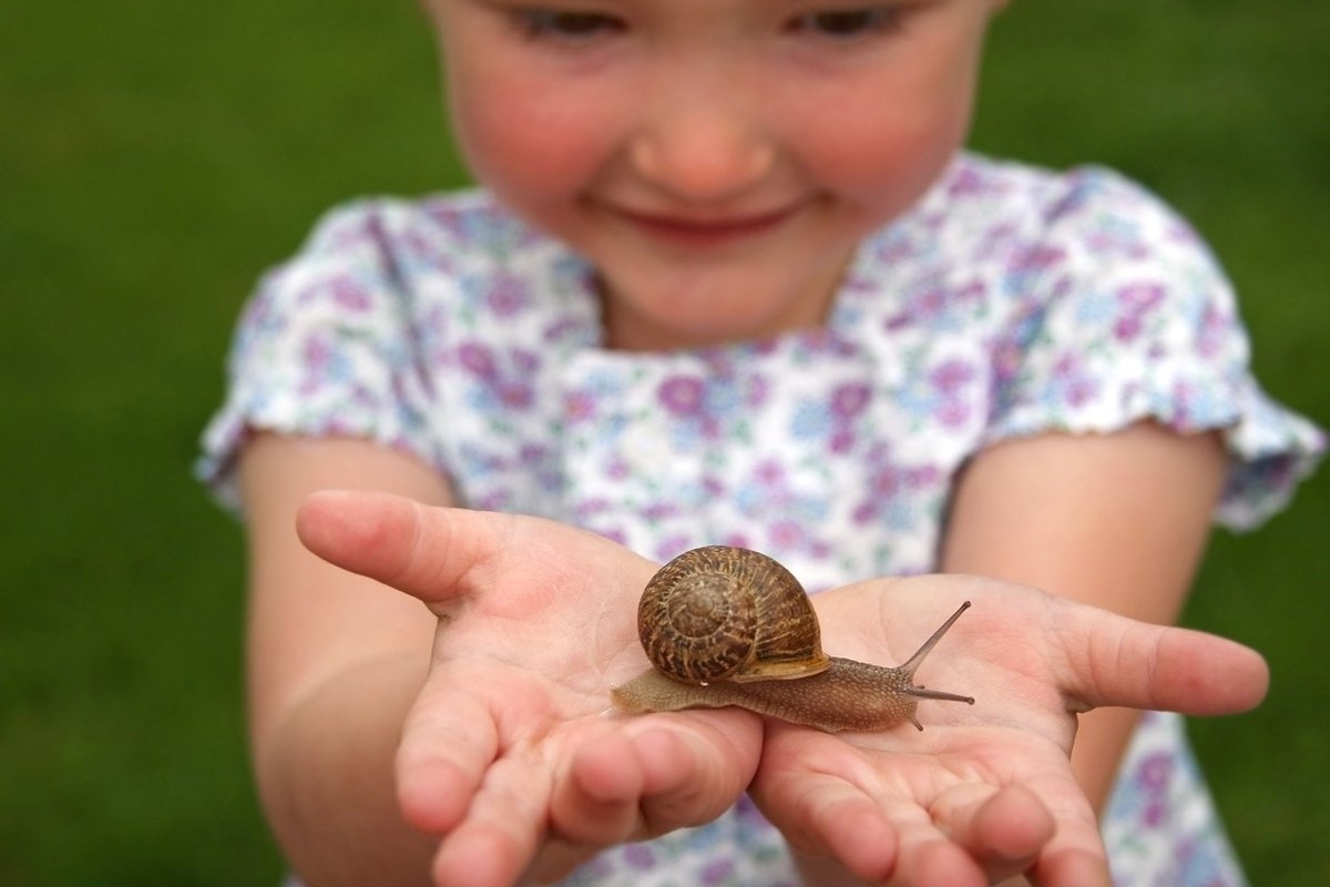 OutdoorsyKids's tweet image. Love a bug hunt? It's great for connecting kids with nature - keep them outdoors though! #outdoorsykids #bughunt #getoutside #explorenature