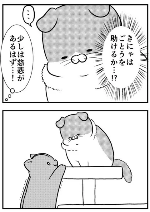 猫のきにゃと、ごとうさん (135) 無慈悲 #マイナビニュース 連載更新されました！きにゃはごとうを助けるか？！ 