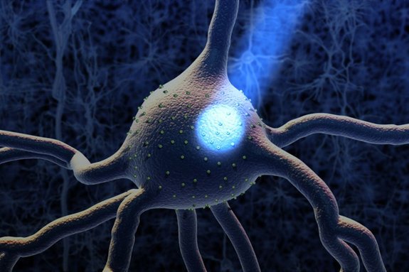 zrnopameti's tweet photo. Šta je to #optogenetika #optogenetics https://t.co/IR3TCb7su8 https://t.co/zC7Wm6ElH1