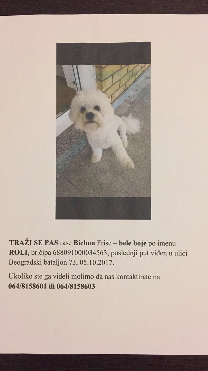 Izgubio se pas mog strica Gorana na Banovom brdu. Bilo koja informacija, telefon na slici.. hvala!!!
