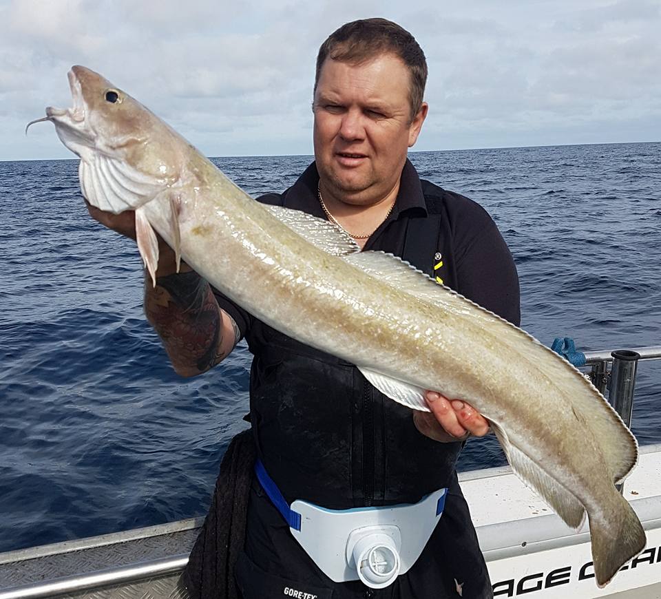 Fish Dynamix tweet media