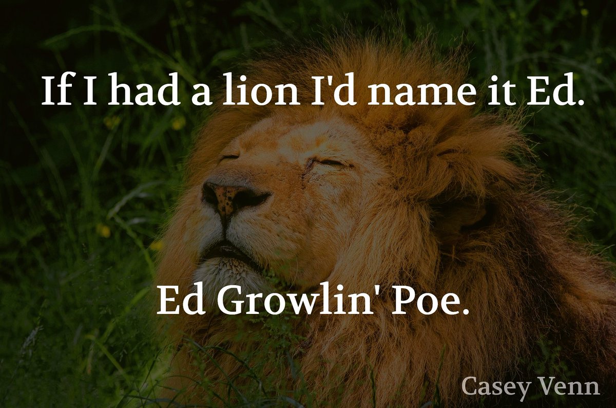 CaseyVenn's tweet photo. #humor #pun #poe #why #itwasapleasuretomeeteveryone #illseemyselfout https://t.co/MBFz7vNvmo