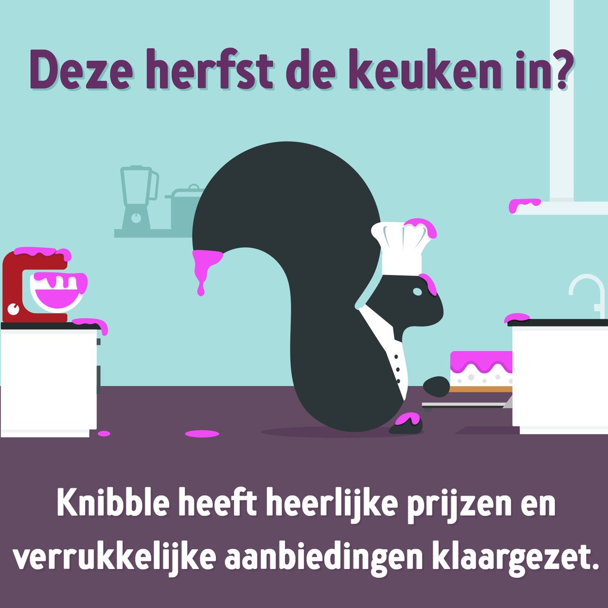 Knibble.nl tweet media