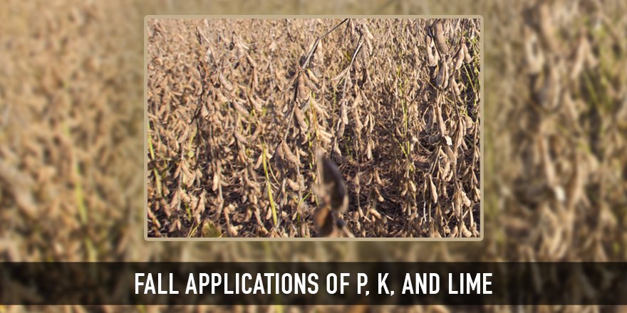 Asgrow_DEKALB's tweet photo. Application rates of P, K, &amp; lime should be based on current soil samples taken at least every 4 years. Learn more: https://t.co/xlYMTEFhmj https://t.co/wH5FMc0Gzd