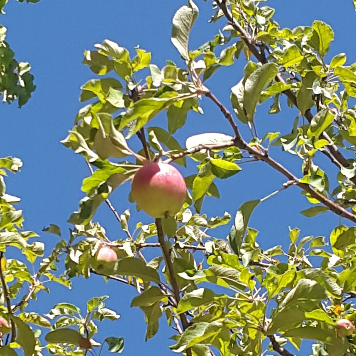 Sonbahar diyorum! Sen hüznünü bize bu güzel renklerle mi anlatıyorsun?