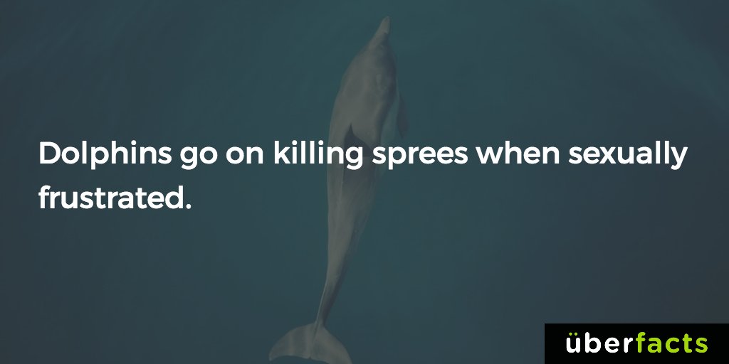 UberFacts's tweet photo. Damn. https://t.co/75uSGmdYbI