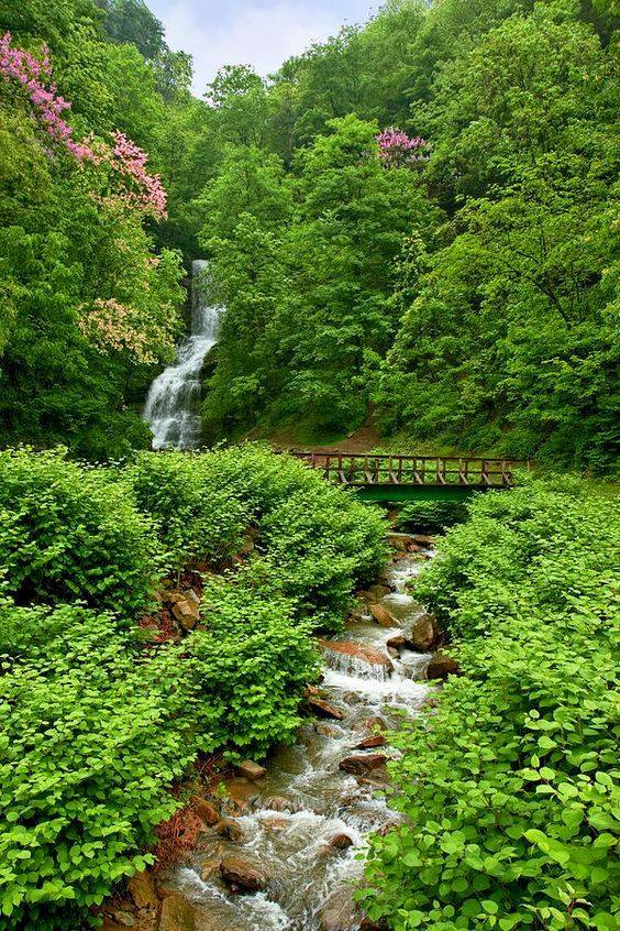 Laylabenghazi_F's tweet photo. I LOVE NATURE https://t.co/barwDgRoyA
