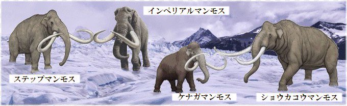 ケナガマンモスのtwitterイラスト検索結果 古い順 ケナガマンモスのtwitterイラスト検索結果 古い順