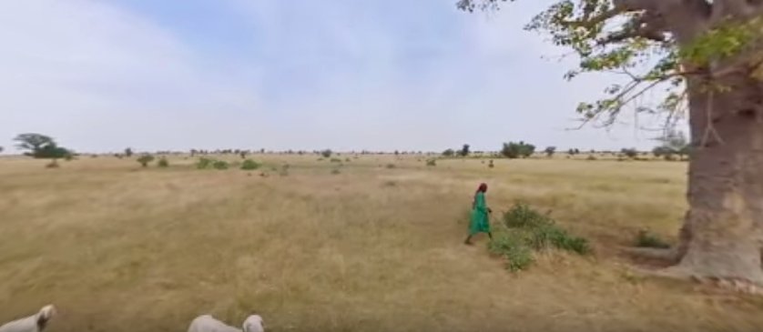 LaGeodeVR's tweet photo. La #RéalitéVirtuelle vous plonge en plein coeur de l'#Afrique ! #VR #GrowingAWorldOfWonder #Ciné360 https://t.co/wlrrvX5TRy
