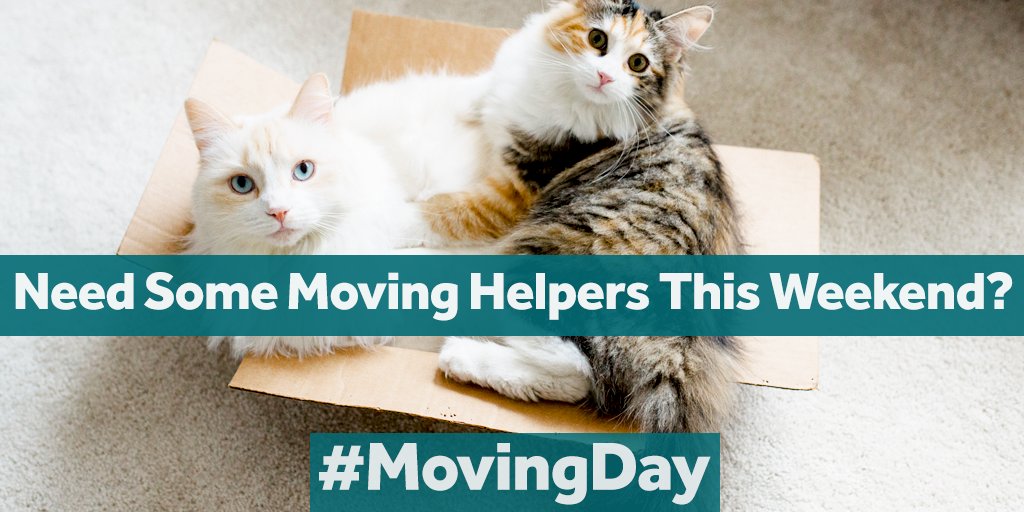 rightmove's tweet photo. If you're moving house this weekend - or just taking a step forward in your home journey - we wish you the very best luck! #MovingDay https://t.co/eZVJsj0yfn