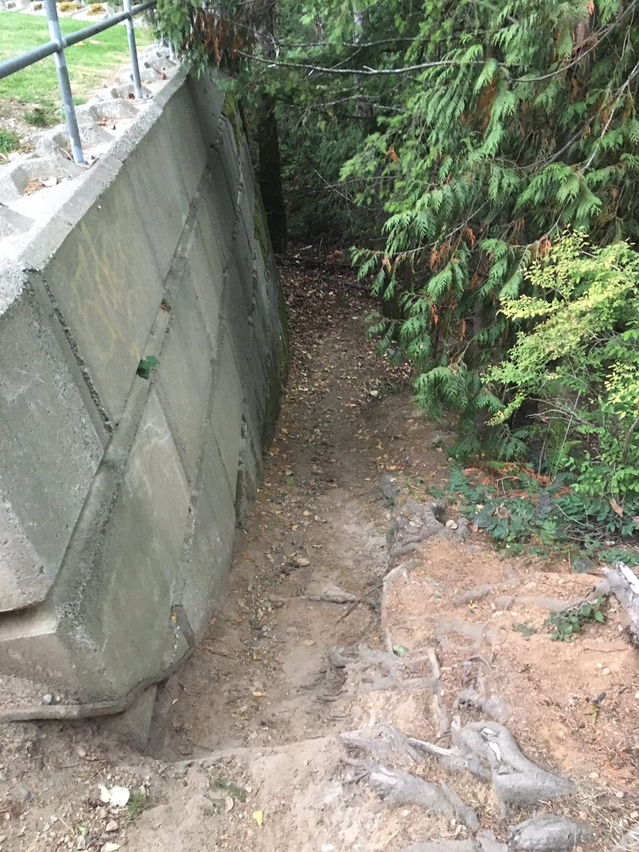 ryanstaceygolf's tweet photo. Morning run upgraded today! #portcoquitlam #lifeoutside https://t.co/9aa3meDQvM
