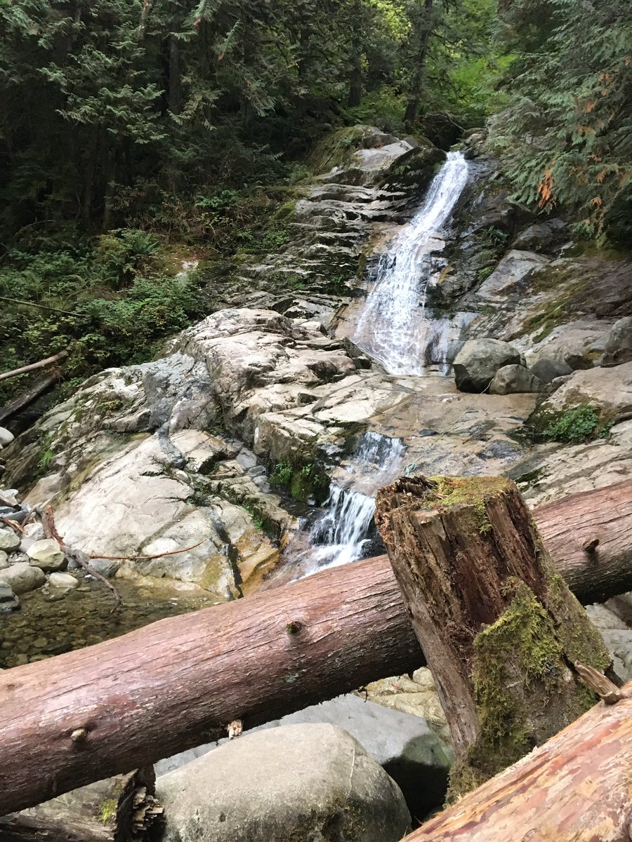 ryanstaceygolf's tweet photo. Morning run upgraded today! #portcoquitlam #lifeoutside https://t.co/9aa3meDQvM