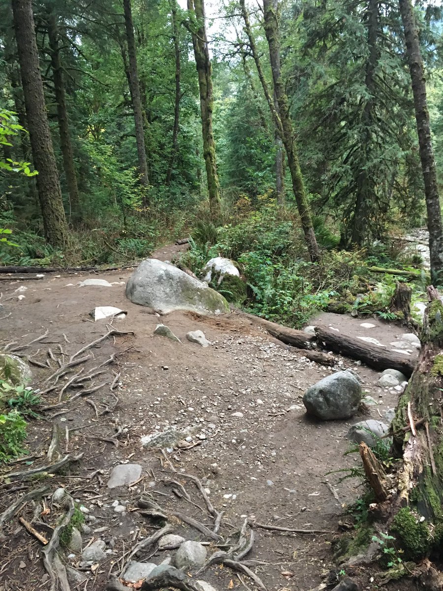 ryanstaceygolf's tweet photo. Morning run upgraded today! #portcoquitlam #lifeoutside https://t.co/9aa3meDQvM