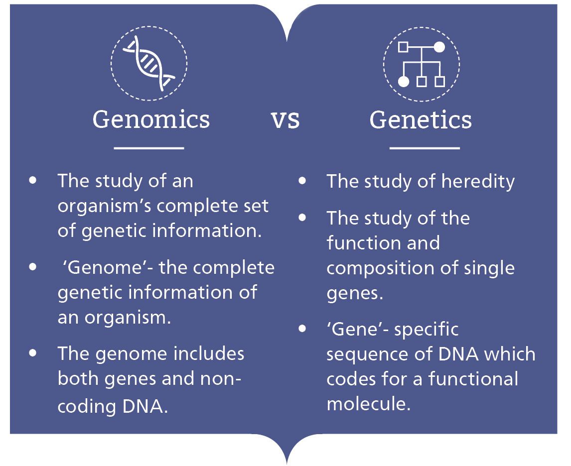 genomicsedu's tweet photo. Most people have heard of #genetics in the context of healthcare. But what about #genomics? https://t.co/E6F1yJd6qh