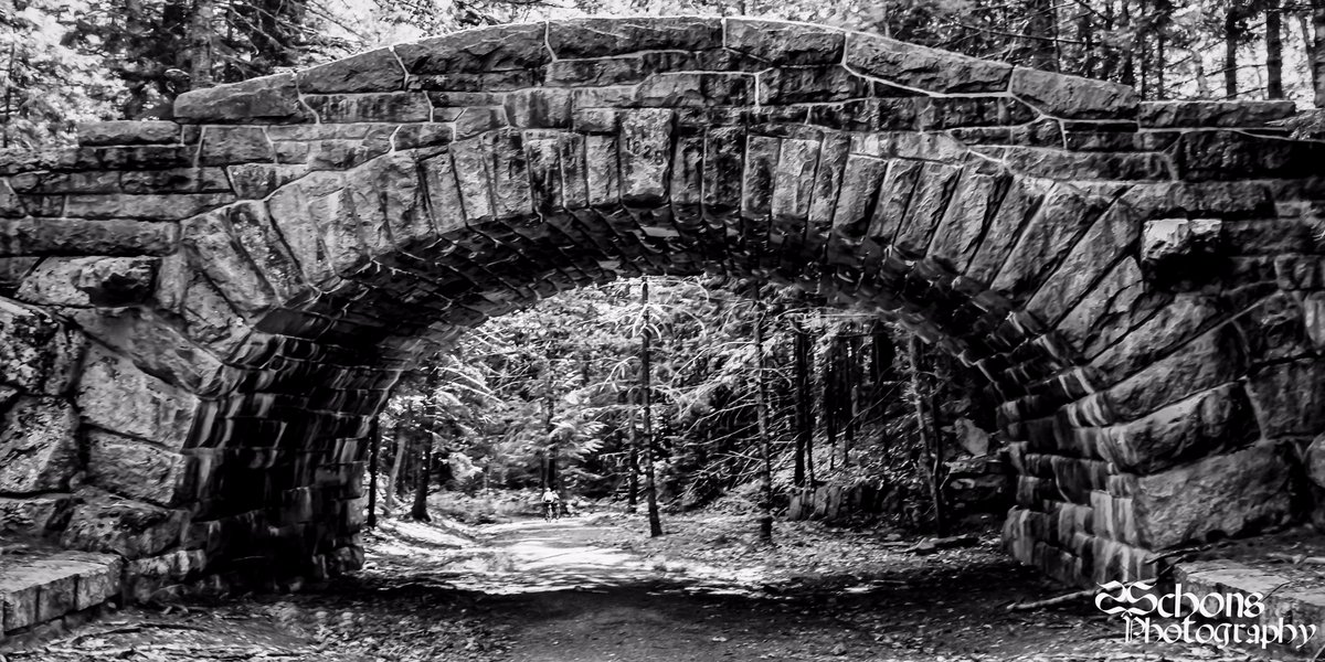 sschons1's tweet photo. Carriage Road Bridge at Bubble Pond #photography #blackandwhite #bridge #architecture #road #carriageroad #AcadiaNationalPark #Maine #Canon https://t.co/q88LBrJgPz