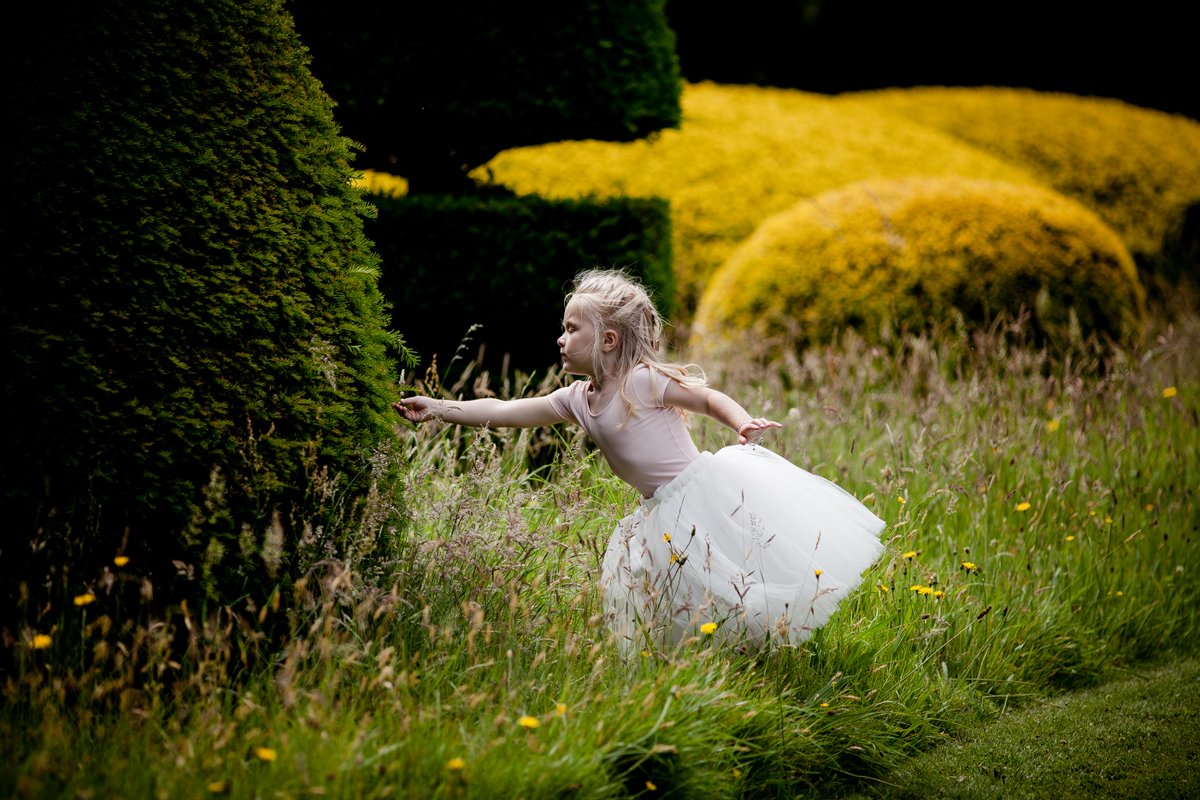 GJP Photography tweet media