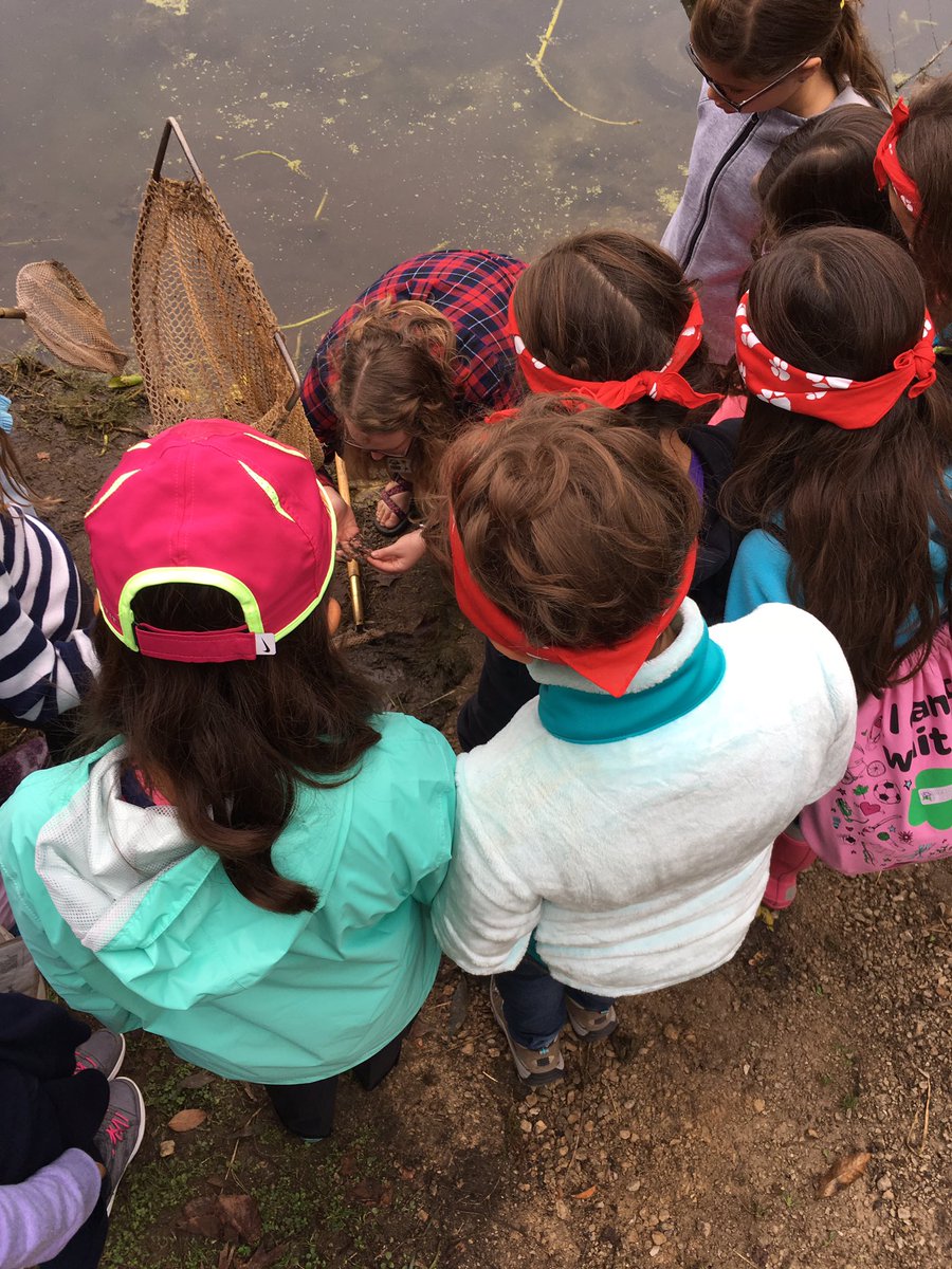 song_space's tweet photo. Learning about aquatic life and ecosystems. 🐸@GroveAve220 https://t.co/DoxGKNBIbG