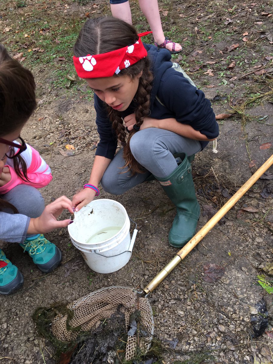 song_space's tweet photo. Learning about aquatic life and ecosystems. 🐸@GroveAve220 https://t.co/DoxGKNBIbG