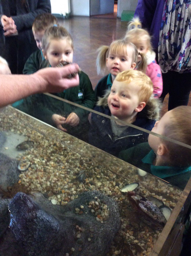 LisaBellamy13's tweet photo. What a great #DeepSeaDiveweek in Little Stars..@IsherwoodMrs @MrsHughesx @TheDistrictCE https://t.co/Xxri6dDrDK
