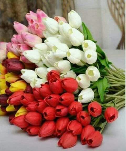 Kalibso4's tweet photo. @malbapalo @StephanieH9229 @pantone213u @ana_ahabk @keikalin020460 @jinicat10 @rosina_strebig @Chandra1Vinod @kazurin4428 @may4890 @smartmove19675 @Shumona13 @alkhateeb @henrirouen @BSR_121 @CristinPereyra @jewelsking_king @KhaliqueeM @niuracastrillon @zehra_lkaya @Carolovely30 @moiraek @bigjockd @Silviadomi22G @Ashger_70R @MiranghMiranda @dualippa123 @mimmoventura @Natali122550 @SteveHuang68 @SimplesmenteSyl @rosemgjf @bxtr_greenacres @jwbranda @HildaLobaton @Fitri34404412 @virlivia21 @antwanhoberg @marinaemelyan12 @888Musad @poupouch48 @TinaLuzanova @JoseDuqueSan @omniajen @OKowalcuk @ranasilvia63  https://t.co/nCZPc95L1X