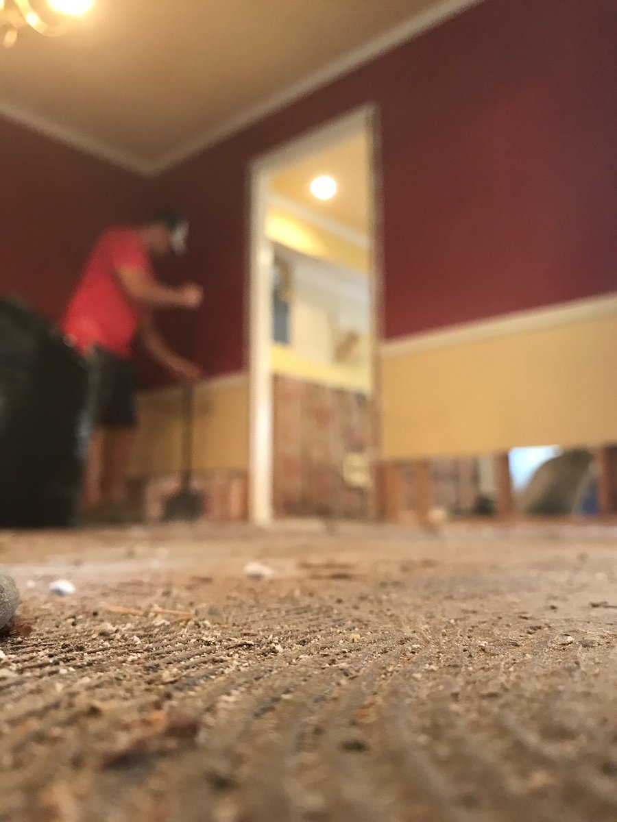 MoldTerminator's tweet photo. Mold Terminator will not only destroy the mold in your home, but we will leave it better than we found it.
Call us today! 901-877-8855
#Mold https://t.co/0KCe8uKBdy