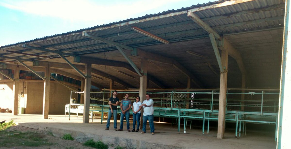 incarural's tweet photo. Supervisión a Proyecto del Componente #Arraigate Joven Emprendedor 2017, quienes darán valor agregado al Mango de traspatio. #Sinaloa https://t.co/gVapsUcCJ5