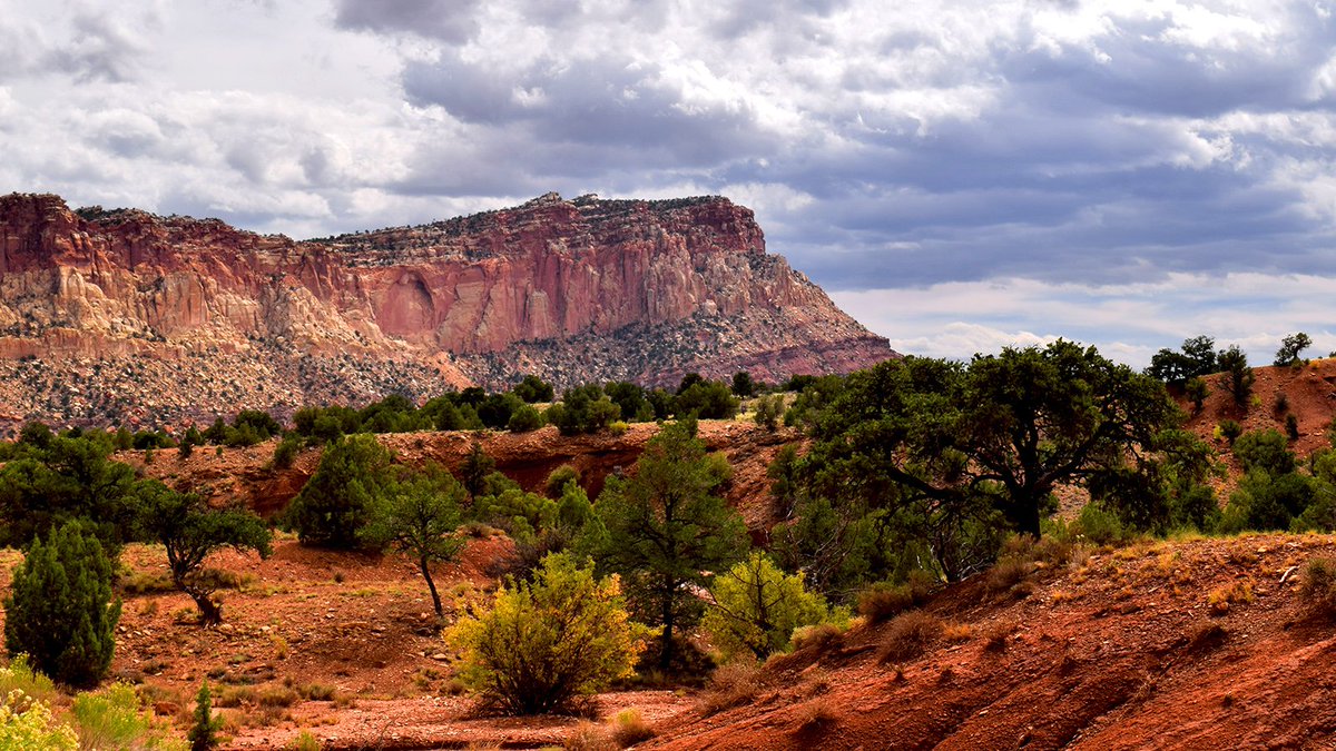 KogallaLLC's tweet photo. There's more to Utah's red rock country than just red.  And Capitol Reef is just one of 5 National Parks in Utah.
https://t.co/r9aLlZ0rZz https://t.co/Y1TWqHA2SD