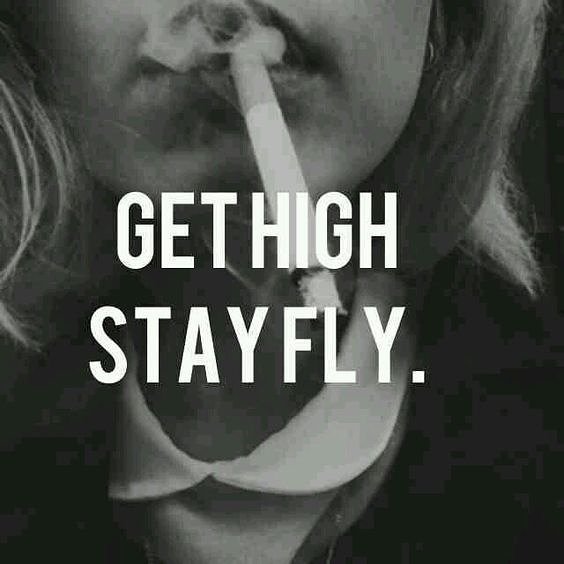 bakingat420's tweet photo. Happy Friday
#FridayHighDay #Marijuana #Cannabis #Weed #Stoner #CannabisCommunity #HighLife https://t.co/G8mfS2JqLG https://t.co/qK66X22dDd