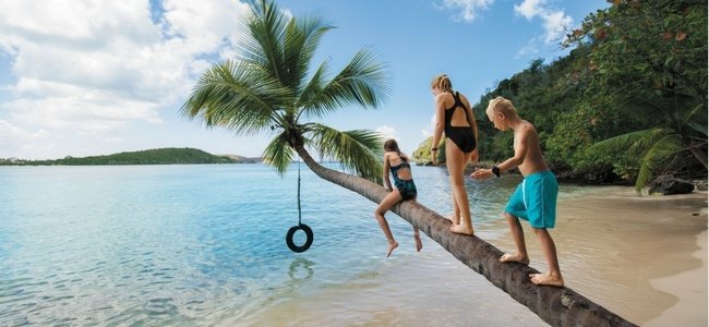 CruisesInternational tweet media