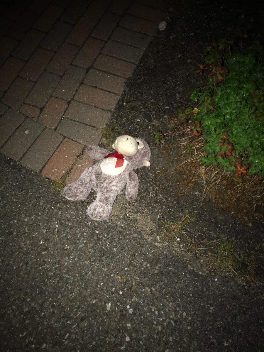 JohnFEgan7's tweet photo. @GregHillWAAF @DanielleMurr Greg’s dog is upset jealous, in #Hillmans driveway last night #monkeylivesmatter https://t.co/VDo0UZoVJq