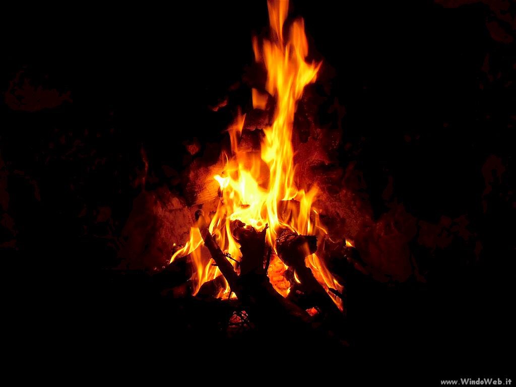 vale_wts's tweet photo. A child is a fire to be lit, not a vase to be filled. François Rabelais

#TeachersDay #teachersday2017 #quotes https://t.co/6c2632Jn4a