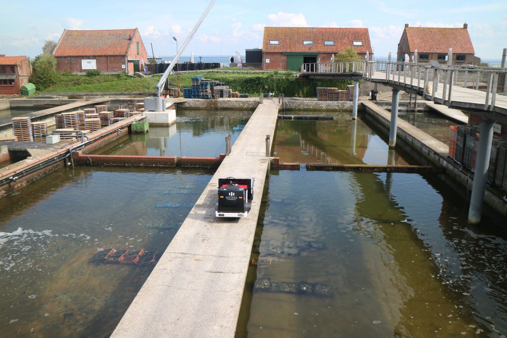 AukjeWouters's tweet photo. Als je nog een leuk uitje zoekt voor tijdens de herfstvakantie: Yerseke, Zeeland. Lees dit artikel: https://t.co/fbAJIROfM2 https://t.co/wD7HX2sYgt
