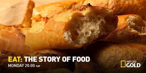 NatGeoGold's tweet photo. Find out how the discovery of growing and cooking grain led to the establishment of agriculture in #EatTheStoryOfFood. #NatGeoGold https://t.co/gDpimP2yne