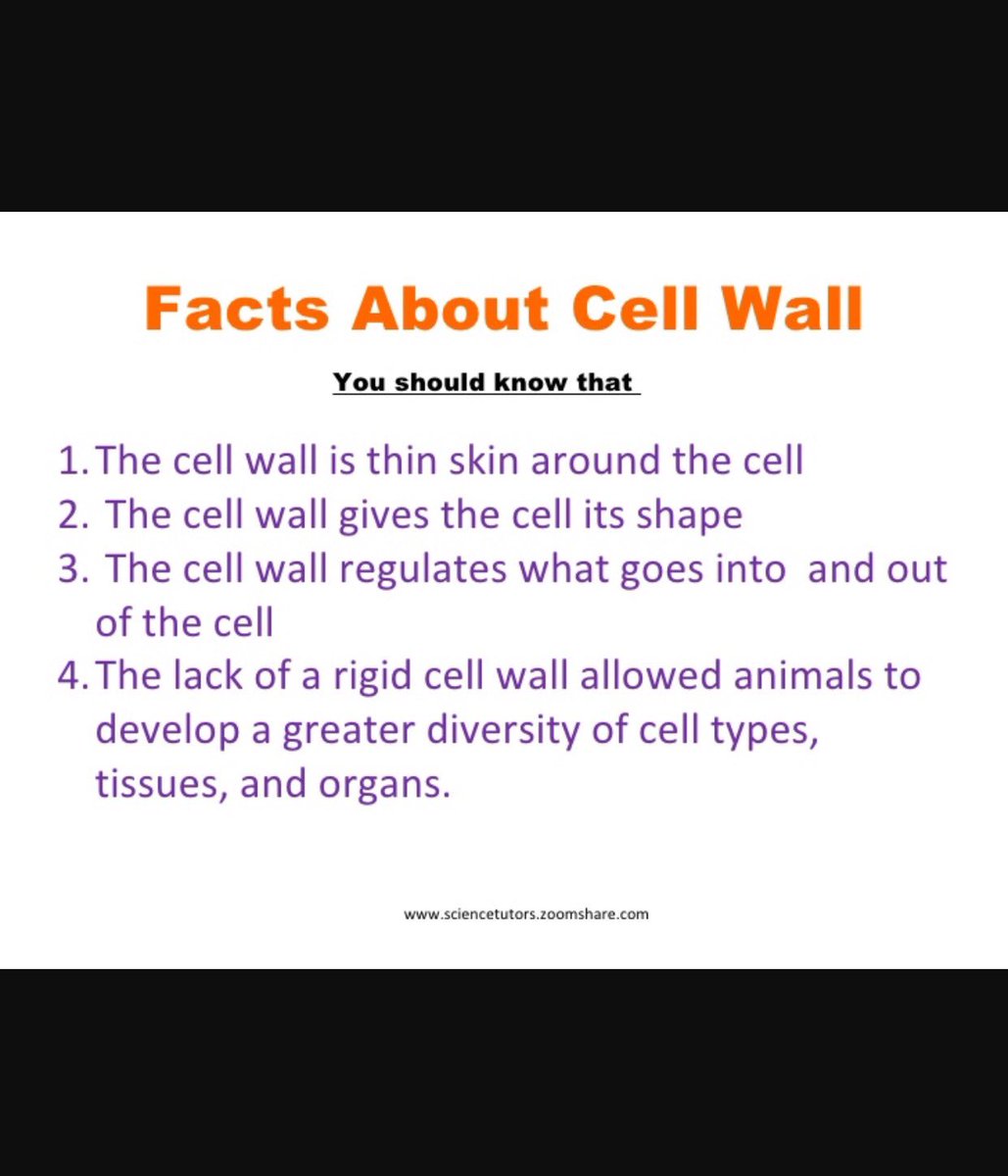 Cell__Walll's tweet photo. 5 Facts About Me💥 https://t.co/71xJFuZHYb
