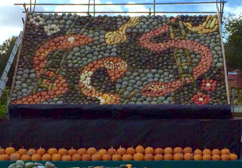 slindonpumpkins's tweet photo. #wearenowopen #snakes and ladders #display2017 #pumpkins ready for #Halloween https://t.co/Z0NtDwlOCv
