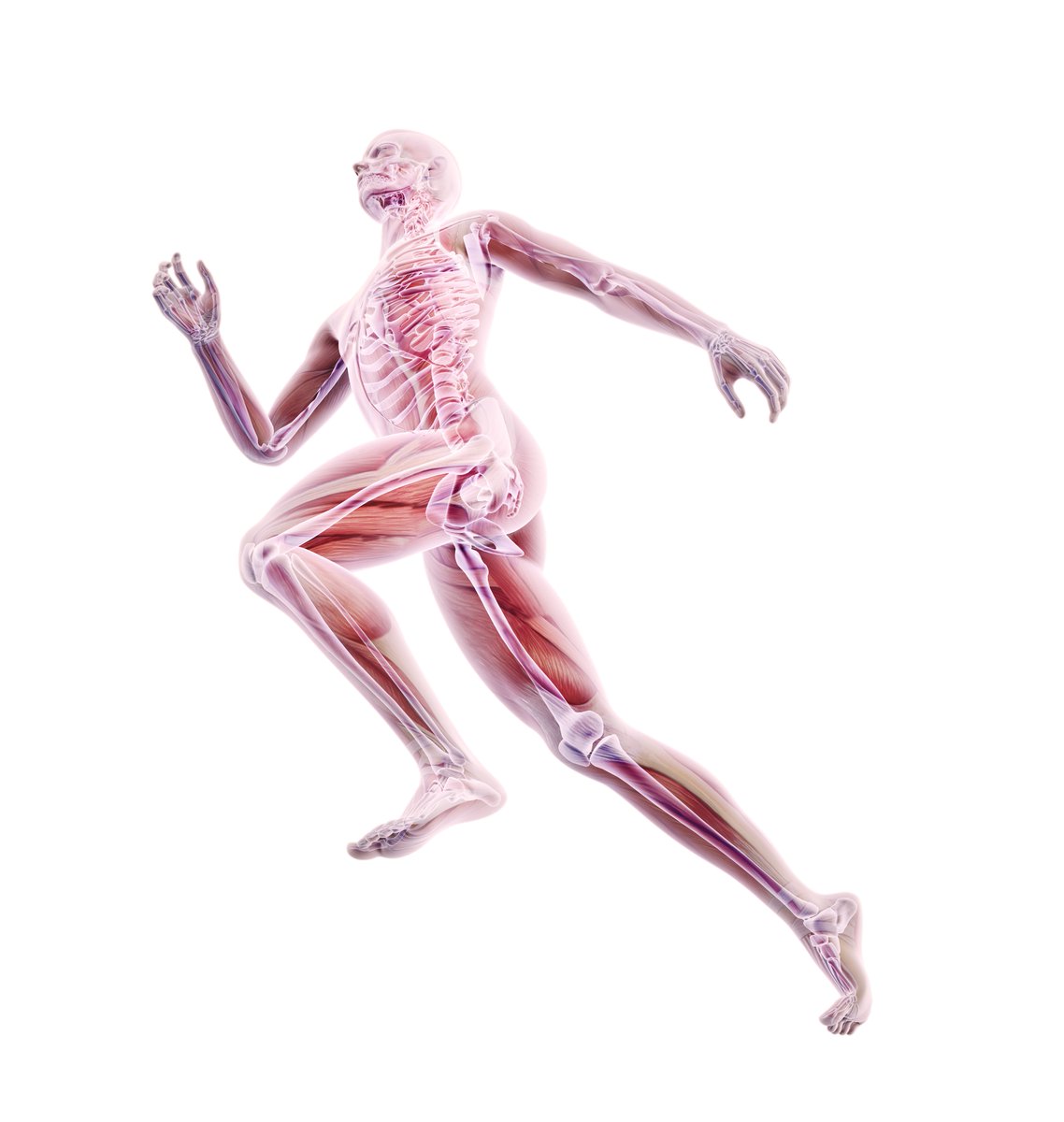 Moore_Perform's tweet photo. #FactFriday For an adult, taking just one step uses up to 200 muscles.
#MoorePerformance https://t.co/1V0sV77dPm