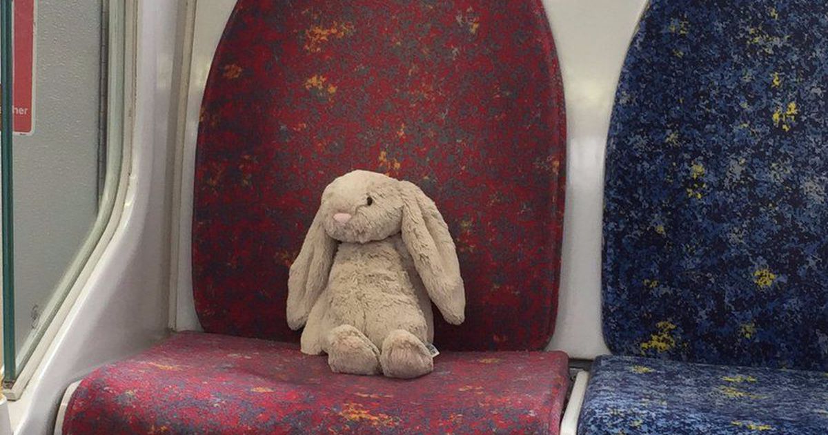 LexingtonJax's tweet photo. Twitter unites again to help a lost bunny 🐰. #hope #lostandfound https://t.co/QJZMsgYoHK https://t.co/aqGZM0xFgN