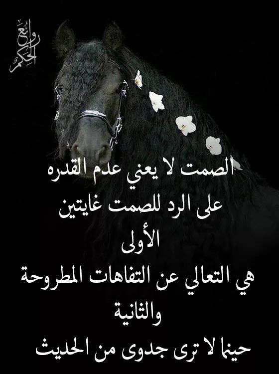 اغرد في صمت