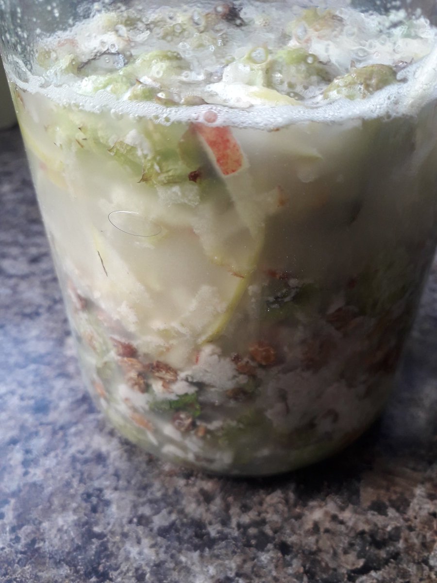 leonbenjaminhal's tweet photo. Wild hops and apple from tree they were growing up. Malted wheat and little wholewheat starter. #FerMental #ExperiMental just #Mental
👐🍞😋
✌💚 https://t.co/fN7L6bgzn8