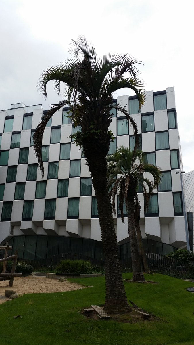 piocaire's tweet photo. @PhotosOfDublin https://t.co/6SAgzn56wh