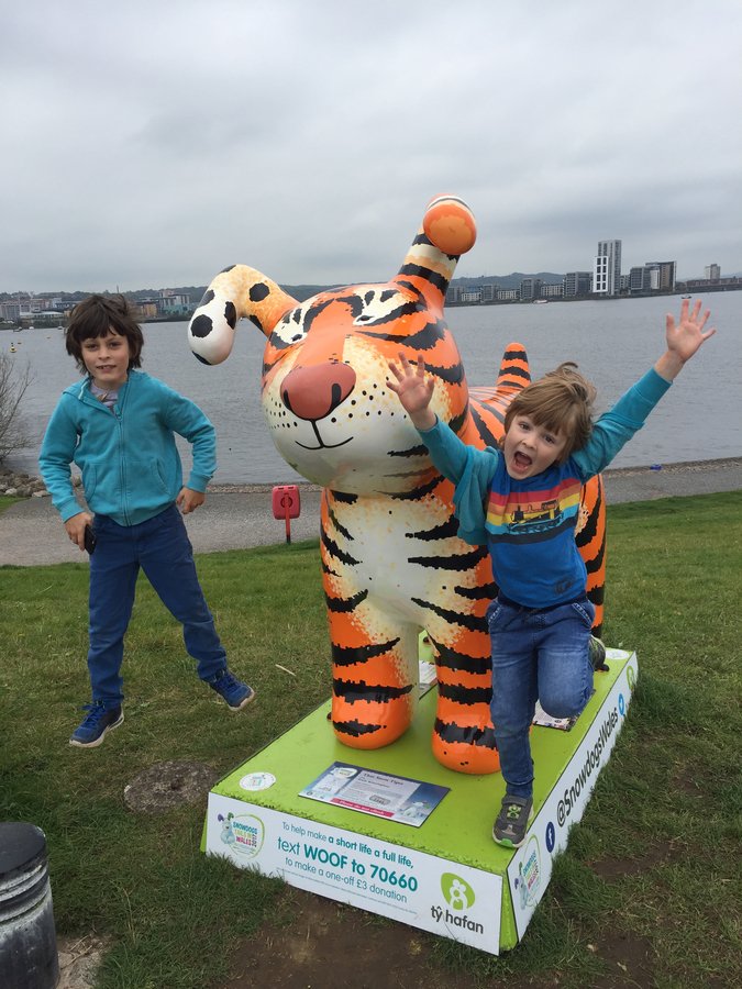 SnowdogsWales tweet media