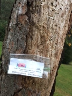 NAWordHunt's tweet photo. @NAWordHunt #nawordhunt https://t.co/SvsAwycla2